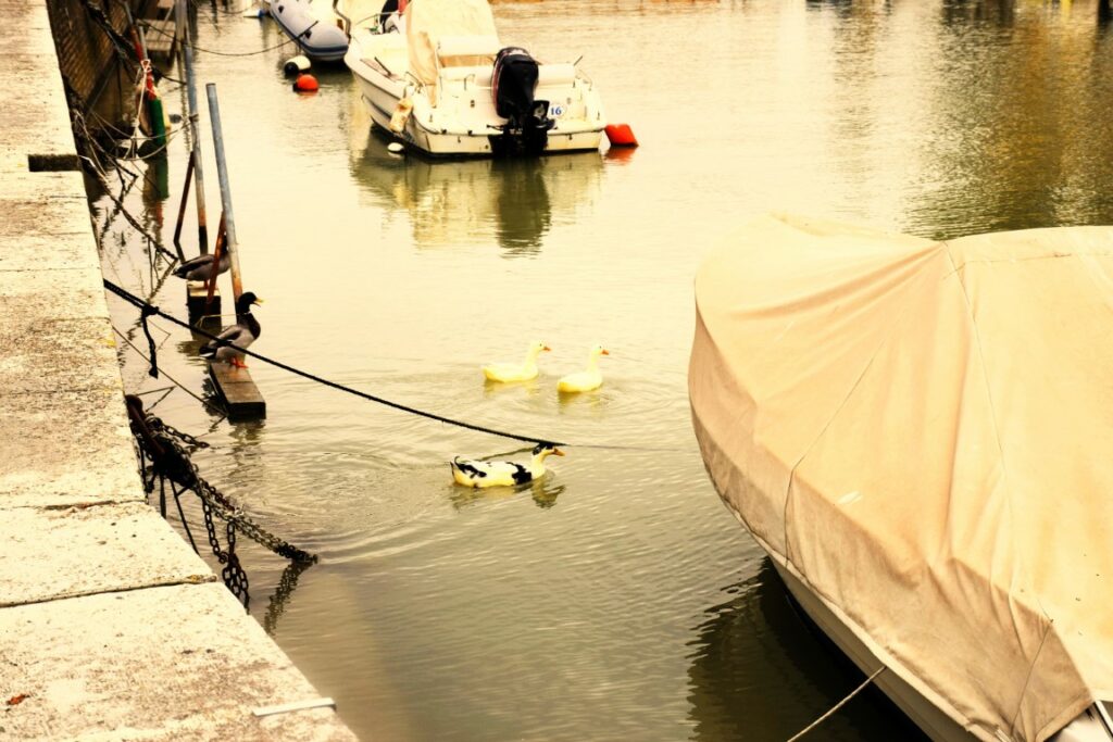 anatre sul canale fronte di the sax appartamenti