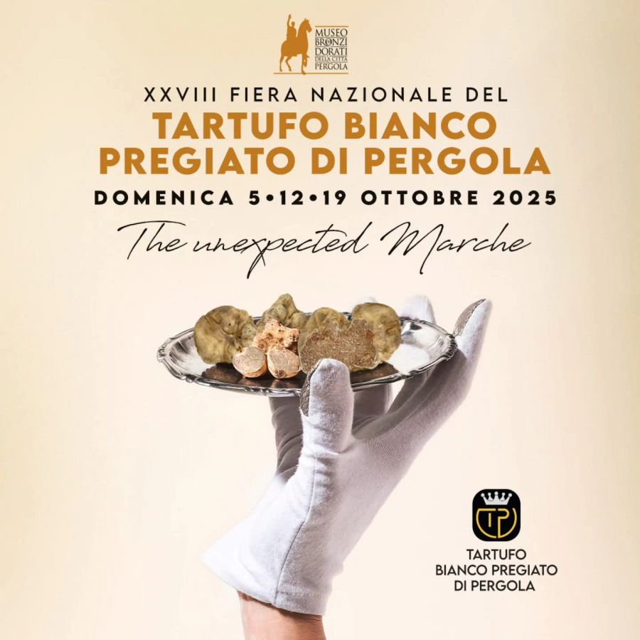 Fiera Nazionale del Tartufo Bianco Pregiato: Pergola profuma d’autunno!